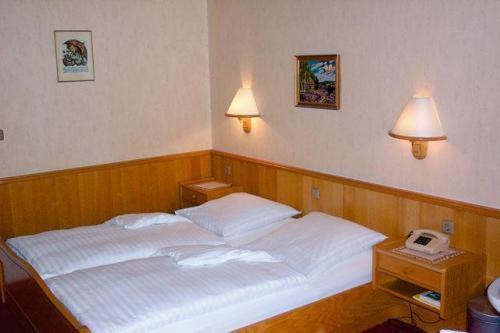 Hotel Waldesruh Georgsmarienhutte Room photo